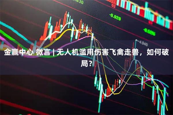 金赢中心 微言 | 无人机滥用伤害飞禽走兽，如何破局？