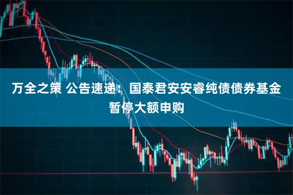 万全之策 公告速递：国泰君安安睿纯债债券基金暂停大额申购
